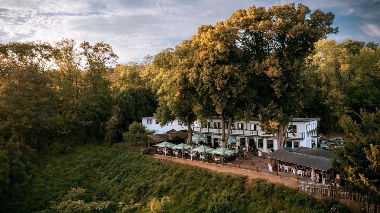 Hotel Hasenjaeger Einbeck Dış mekan fotoğraf